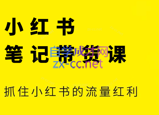 张宾·小红书笔记带货课(更新4月)-独家科技资源网