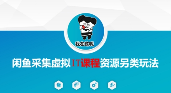 闲鱼采集虚拟IT课程资源另类玩法，干货满满-独家科技资源网