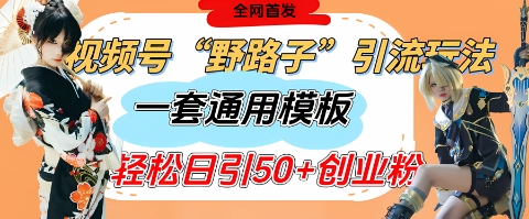 视频号“野路子”玩法，评论区疯狂截流，一套模板单日单号引流50+创业粉-独家科技资源网