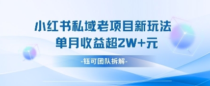 小红书私域项目新玩法，单月变现过W+-独家科技资源网