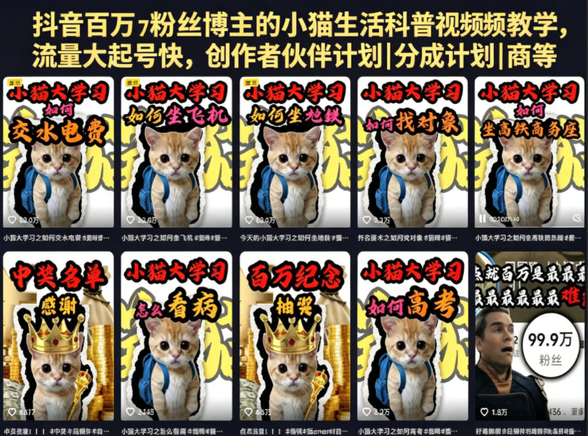 抖音百万粉丝博主的小猫生活科普视频教学,流量大起号快,创作者伙伴计划|分成计划|商单|收徒等-独家科技资源网