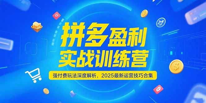 拼多多盈利实战训练营，强付费玩法深度解析，2025运营技巧合集-更新6月-独家科技资源网