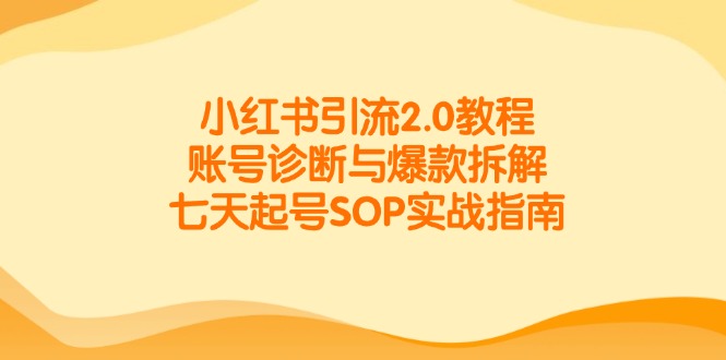 小红书引流2.0教程，账号诊断与爆款拆解，七天起号SOP实战指南-独家科技资源网