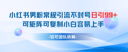 小红书男粉常规引流不封号日引99+变现简单 可矩阵可复制小白容易上手-独家科技资源网