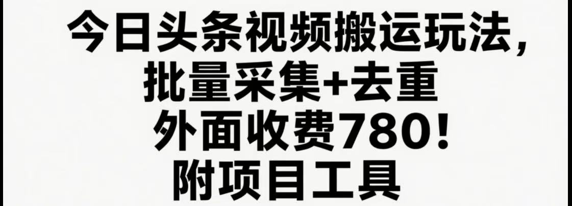 今日头条视频搬运玩法，软件一键去重，轻松日入500+附项目工具-独家科技资源网