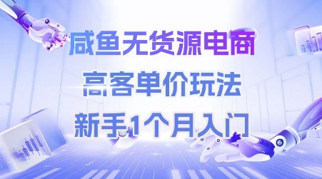 咸鱼无货源电商，高客单价玩法，新手1个月入门-独家科技资源网