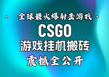 【年底大揭秘】基于全球最火爆的射击CSGO游戏挂G搬砖,日入5张+,震撼公开-独家科技资源网