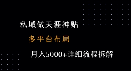 私域做天涯神贴 多平台布局 月入5k+详细流程拆解-独家科技资源网