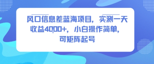 风口信息差蓝海项目，实测一天收益4k+，小白操作简单，可矩阵起号-独家科技资源网