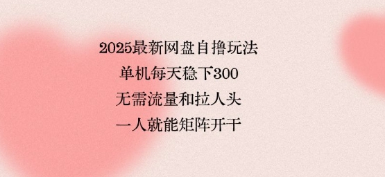 2025最新网盘自撸玩法，单机每天稳下3张，无需流量和拉人头，一个人就可轻松矩阵，全网独一份【揭秘】-独家科技资源网