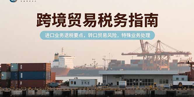 跨境贸易税务指南，进口业务退税要点，转口贸易风险，特殊业务处理-独家科技资源网