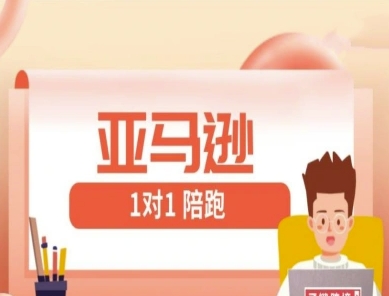 亚马逊1对1陪跑课(FBA/FBM精铺)跨境亚马逊教程-独家科技资源网