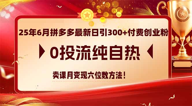 25年6月拼多多最新日引300+付费创业粉，0投流纯自热 卖课月变现六位数方法-独家科技资源网