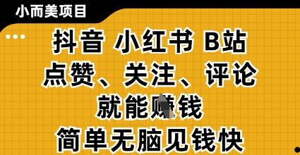 小而美的项目，抖音小红书B站视频点赞、关注、评论就能挣钱，简单无脑立见收益，妥妥的零撸项目【揭秘】-独家科技资源网