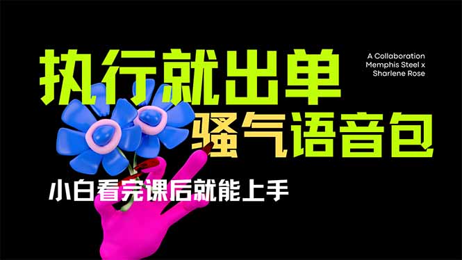 爆火全网的开车导航骚气语音包,只要执行就出单，小白看完课程就能实操…-独家科技资源网