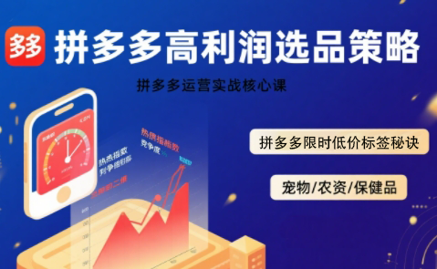 久号老师·拼多多选品暴利技术实战课-独家科技资源网