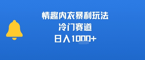情趣内衣暴利玩法，冷门赛道，日入1k+-独家科技资源网