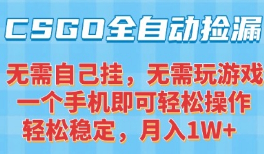 CSGO自动捡漏项目，最新独家玩法，一个手机可操作，新手小白轻松月入1W+，操作简单易上手【揭秘】-独家科技资源网