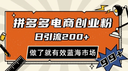 拼多多引流电商创业粉，日引200+，可矩阵放大，做了就有效【揭秘】-独家科技资源网