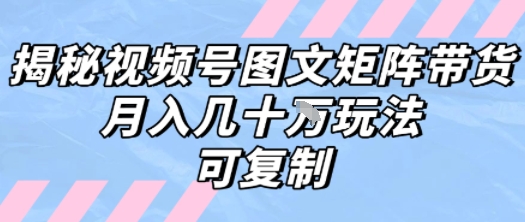 解密视频号图文矩阵带货，月入几个W的打法，可复制-独家科技资源网
