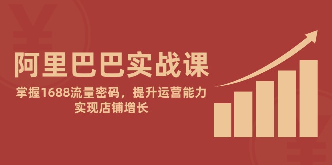 阿里巴巴实战课：掌握1688流量密码，提升运营能力，实现店铺增长-独家科技资源网