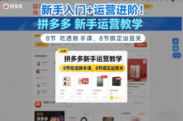 新手入门+运营进阶！拼多多新手运营教学，8节吃透新手课，8节搞定运营关-独家科技资源网