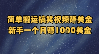简单搬运搞笑视频挣美金，新手一个月入1k美金-独家科技资源网