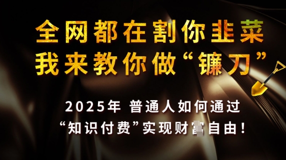 全网都在割你韭菜，我来教你做镰刀，2025普通人如何通过知识付费，实现财F自由【揭秘】-独家科技资源网